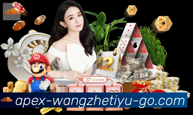 未来规划